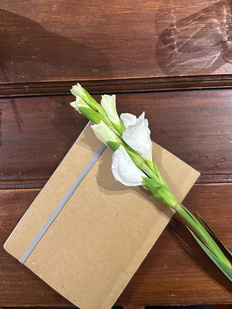 lugar de enunciación 2